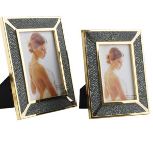 Scaly Frame